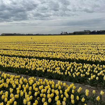 Bed En Breakfast * Stad aan 't Haringvliet