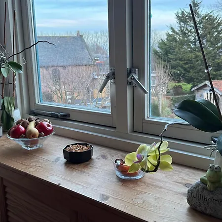 Bed En Breakfast 호스텔